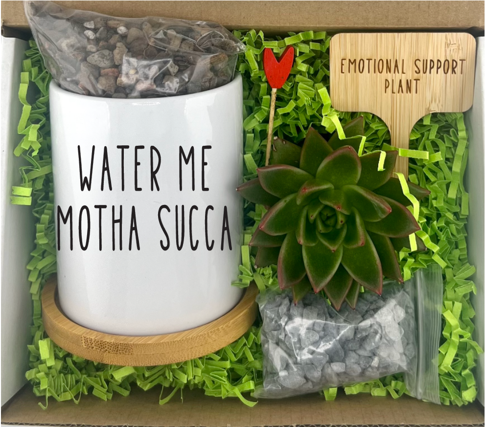 WATER ME MOTHA SUCCA Succulent Planting Box - A unique gift that doesn't  SUCC! | Gift Mill Run